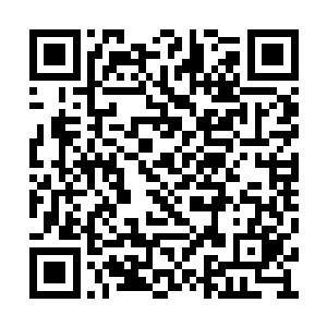 现在你又在……该不会一整个晚上你都没有睡吧二维码生成