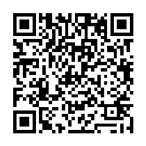 现在你把曾家那六位族长的坟墓所在的位置连起来二维码生成