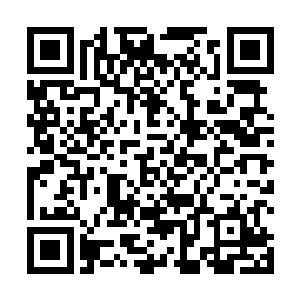 现在你明白老夫和云峥三言两语之间到底说了些什么吧二维码生成