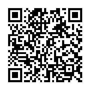 现在侍卫们都被那个不知是谁的冤大头吸引走了二维码生成