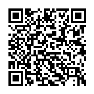 现在元辰已经彻底的准备死心塌地的跟随杨戬了二维码生成