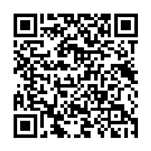 现在光靠着自己这点力量是无法对付孔雀以及夏候风的二维码生成