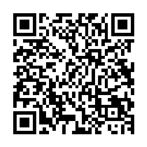 现在几大古武世家已经非常混乱唯一没有动作的就是南宫世家二维码生成
