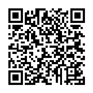 现在凭借着阵势与敌人抗衡的翻云覆雨楼诸多级高手等二维码生成
