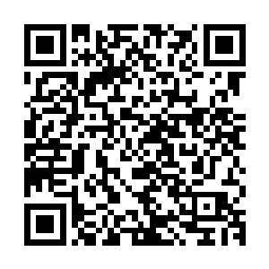 现在凯莉被龙天行拉上去可就名正言顺的成为了龙家的老祖宗了二维码生成