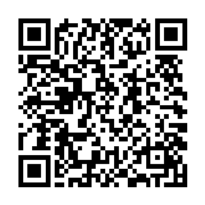 现在到我这儿来求医挂号的病患已经有一百八十六人二维码生成