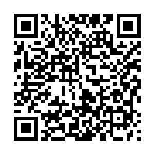 现在力莲应该还像以前一样对自己笑大声的叫自己阿哥二维码生成