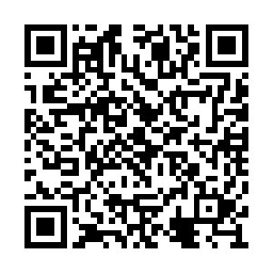 现在华民集团已经真正发展成为了一个华民系了二维码生成