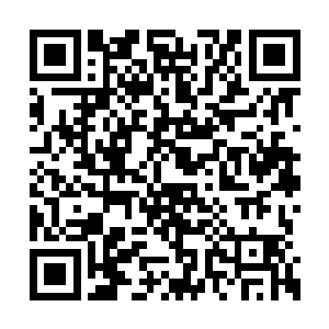 现在却一起出现在这个毫不起眼的普通机甲团中二维码生成