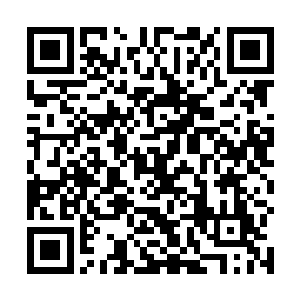 现在却只能和一群在外人看上去奇奇怪怪的人站在一块二维码生成