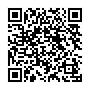 现在却抱着苏落的大腿卖萌求顺毛……这尼玛什么情况二维码生成