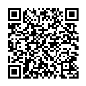 现在却是成了一圈栽种着一种陌生的银白色仙树的树林带二维码生成