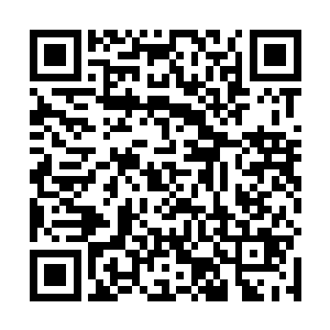 现在去召集人手然后出去之后提前计划一下作战的策略二维码生成