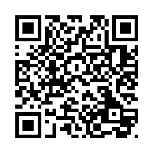 现在县政fu费尽心思将种兔给大家二维码生成