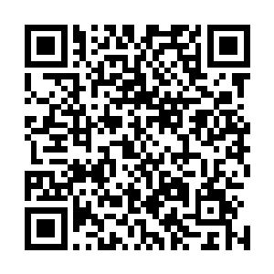 现在又多了一个文瑶……看来自己社区的阵容越来越强大了二维码生成