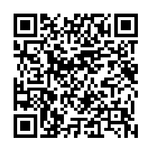 现在又用一碗美味的英雄鱼羹治好了超级病毒引发的疫病二维码生成
