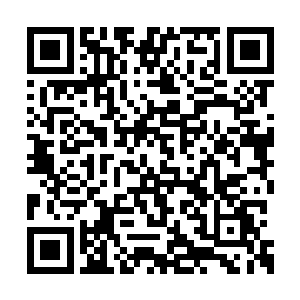 现在又被通体纯银的箭矢贯穿了小小的脑袋……二维码生成