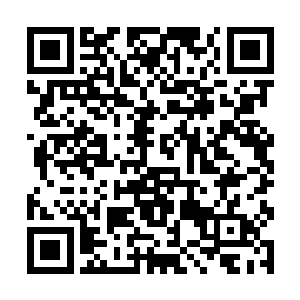 现在又送这么贵重的大礼包……自己还就收下了……二维码生成