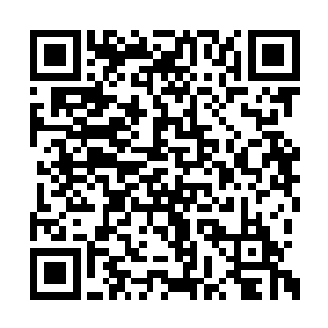 现在又重新到蠡泽新区来分任党工委书记和主任二维码生成