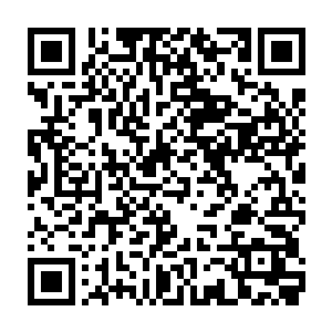 现在发现龙傲天才元婴期竟然就拥有了宇宙中全部的七种本源法则力量二维码生成