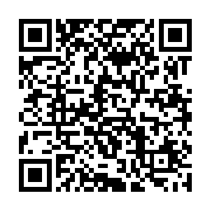 现在只不过是一个穷小子的我根本没有那个实力去揍二维码生成