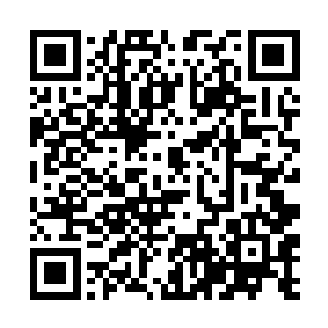 现在只想静悄悄地与你们的母后和你们在一起说说话二维码生成