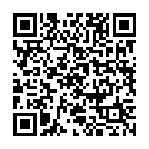 现在只是把她当成自己的亲妹妹一样保护她守护她二维码生成