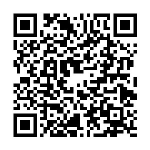 现在只有你融入毁灭之道的兵主帝刃才能真正威胁到他二维码生成