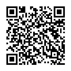 现在只等男人酒劲上来然后扶他去自己和小贤的房间了二维码生成