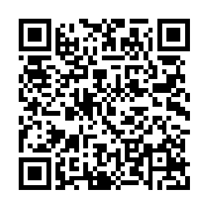现在可是我要演世上所有男人都想演的张丹枫嗳二维码生成