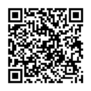 现在叶秋的影分身就像是一个巨人一样每一拳都是呼啸而来二维码生成