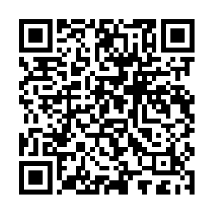 现在司徒波只能把希望寄托在了自己的几个兄弟身上二维码生成