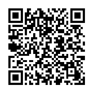 现在各大家族的高手都来到了秘境战场和妖族做最后的抗争二维码生成