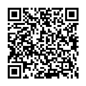 现在各种线索都已经指向了十数年前的那件悬案二维码生成