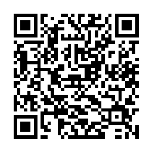 现在后遗症严重的让流墨墨一个手指头都动不了了二维码生成