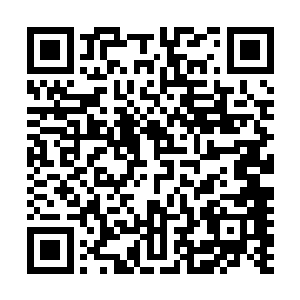 现在听到谢康全安排武警和防爆大队只是负责外围警戒封锁二维码生成