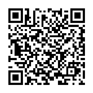 现在唯一一个不让我当场把你抓去送给警察的理由二维码生成