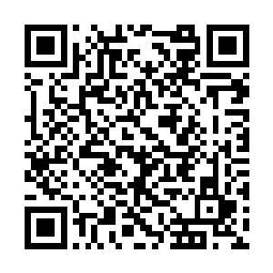 现在唯一伤势较轻的就是血刃山寨的大当家血刃了二维码生成