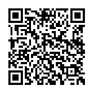 现在唯一能救这些人的办法只有雷欢喜能够成功二维码生成