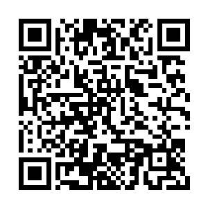 现在唯一能求的就是九殿下以后能善待我们阿珩二维码生成