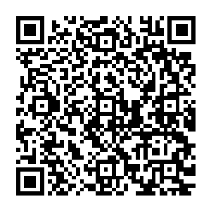 现在圣宗域千分之九百九十九点九的人都不知道圣宗域数千年前有个霸主级势力焚天宗二维码生成