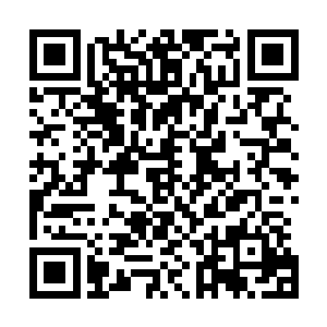 现在圣诺国那边开出的价格远超过平日里佣兵任务给的价格二维码生成