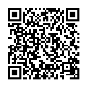 现在圣隆皇族那边已经有不少老一辈的人迁徙过来了二维码生成