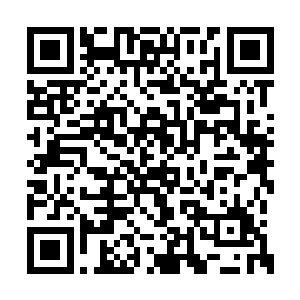 现在在场的白角族人看他们已经不把他们当敌人二维码生成