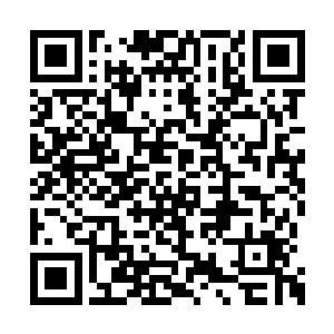 现在在柏林战区的是维斯瓦集团军群全部及大量二维码生成