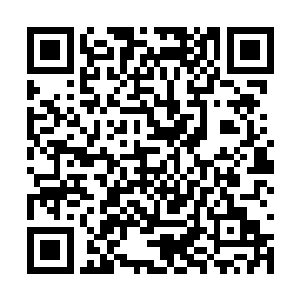 现在在造化图空间之中五十天才相当于外界的一天二维码生成