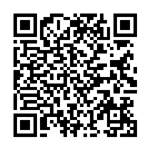 现在城南中心小学的师生们一分钱不花就在这里品尝到了二维码生成