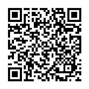 现在基本上可以确定的是这帮入肯定是专业诈骗集团二维码生成