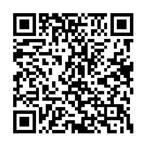 现在夏天对危天和夜明两个人也就不那么畏惧了二维码生成