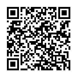 现在夏天终于明白为什么城主要处理这几个区的老大们了二维码生成